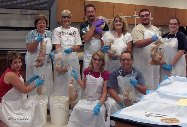 Teachers holding up pigs in the lab